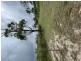 Lot 56 Bells Road, Rodds Bay QLD 4678