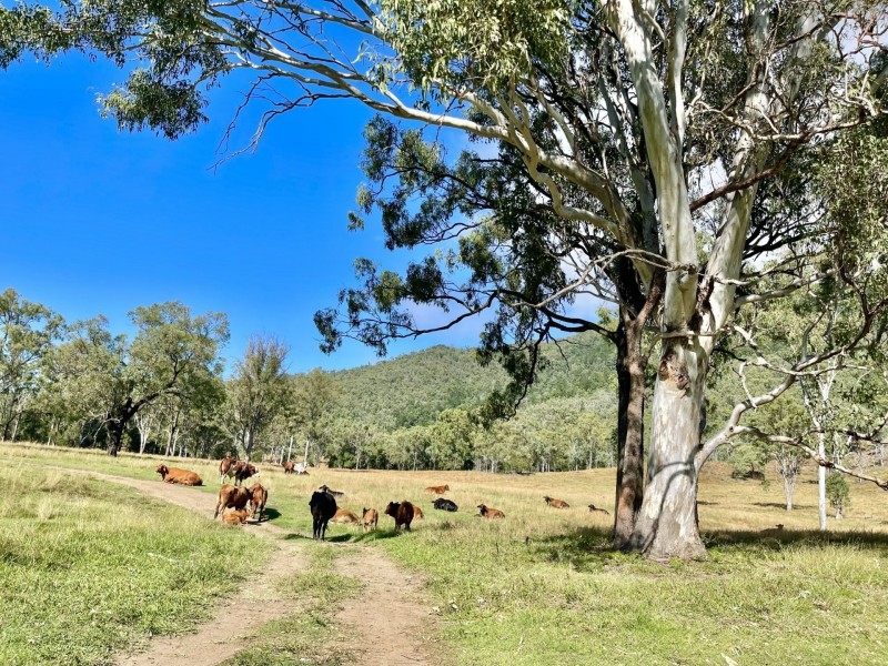 284 Mossman Road, Colosseum QLD 4677