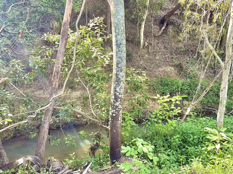 196 Bells Road, Rodds Bay QLD 4678