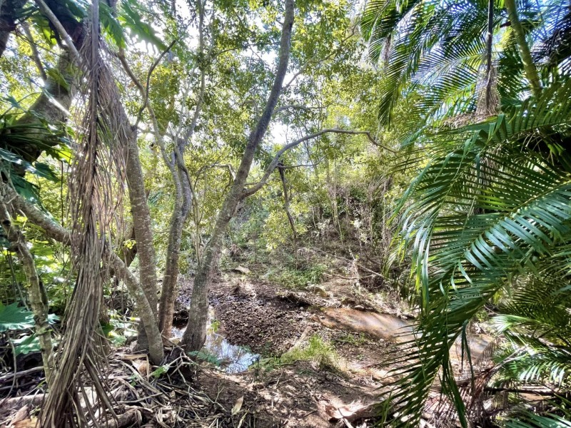 196 Bells Road, Rodds Bay QLD 4678