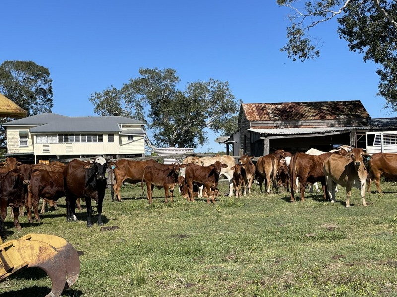 150 Bates Road, Bororen QLD 4678