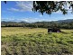 37 Forestry Road, Colosseum QLD 4677