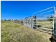 37 Forestry Road, Colosseum QLD 4677