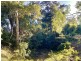 37 Forestry Road, Colosseum QLD 4677