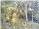 37 Forestry Road, Colosseum QLD 4677