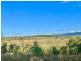 37 Forestry Road, Colosseum QLD 4677