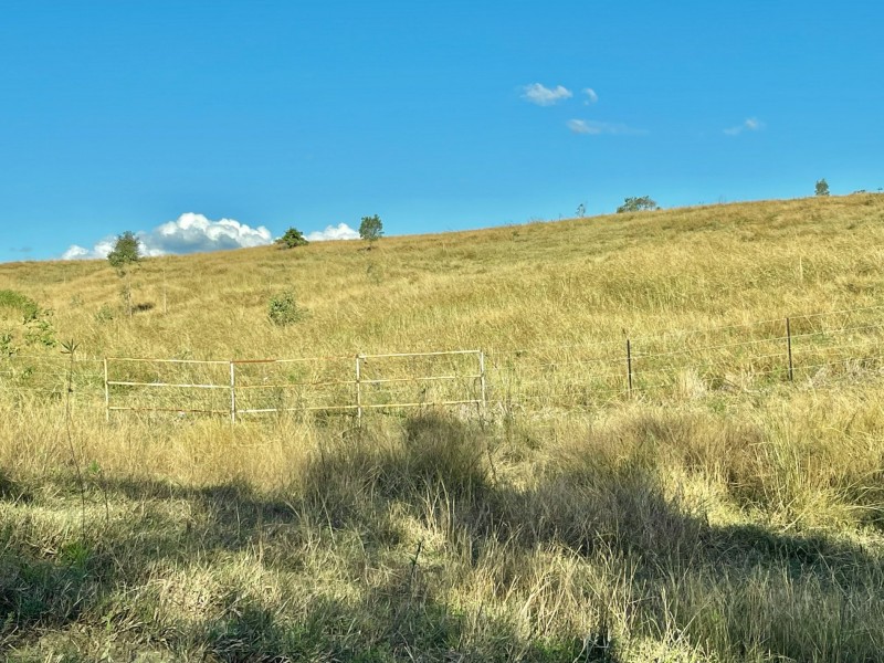 37 Forestry Road, Colosseum QLD 4677