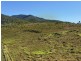 37 Forestry Road, Colosseum QLD 4677