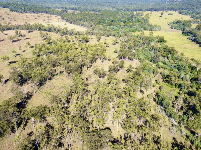 664 Turkey Beach Road, Foreshores QLD 4678