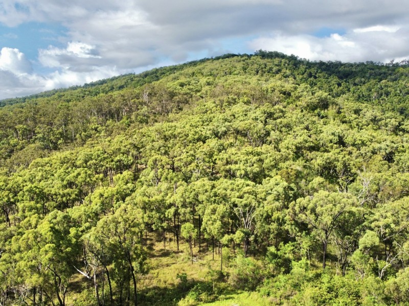 1798 Turkey Beach Road, Rodds Bay QLD 4678