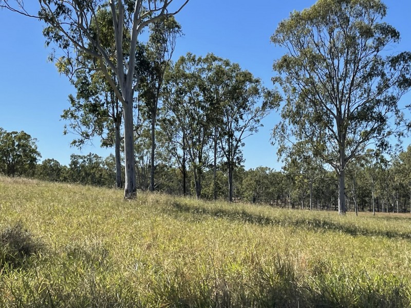 258 Donaldsons Road, Foreshores QLD 4678