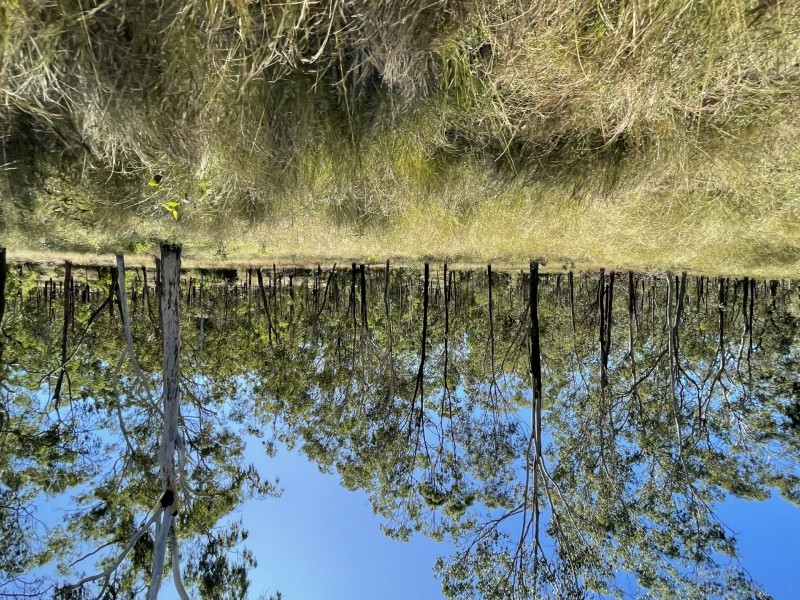 258 Donaldsons Road, Foreshores QLD 4678