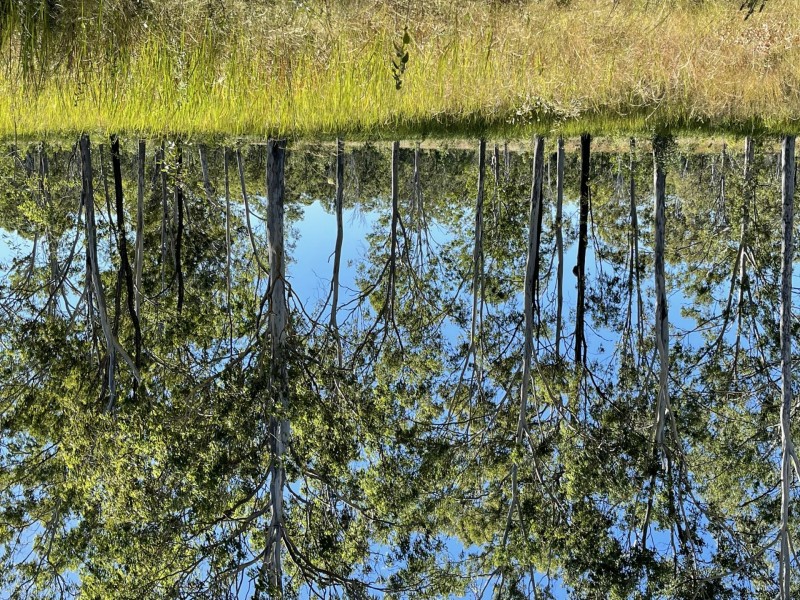 258 Donaldsons Road, Foreshores QLD 4678