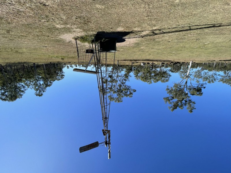 258 Donaldsons Road, Foreshores QLD 4678