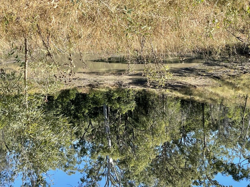 258 Donaldsons Road, Foreshores QLD 4678