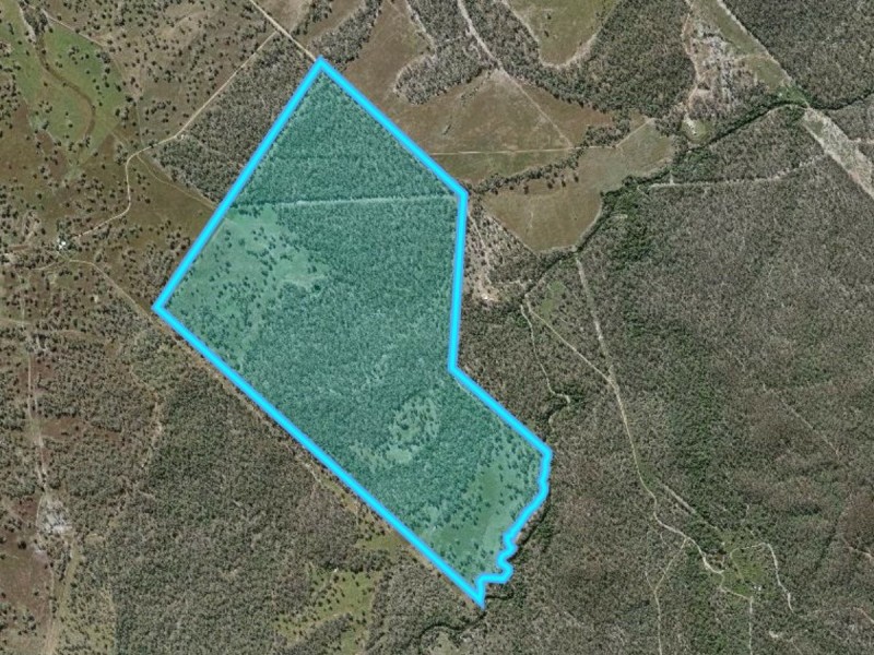 258 Donaldsons Road, Foreshores QLD 4678