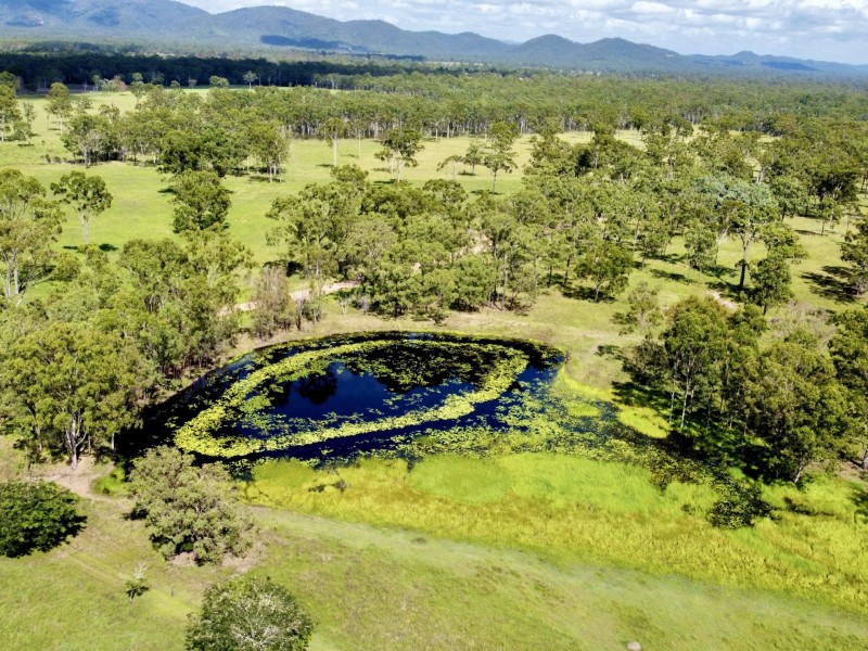 404 Turkey Beach Road, Turkey Beach QLD 4678