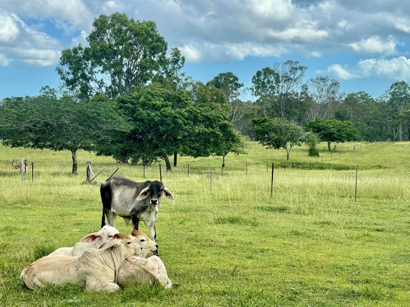 404 Turkey Beach Road, Turkey Beach QLD 4678