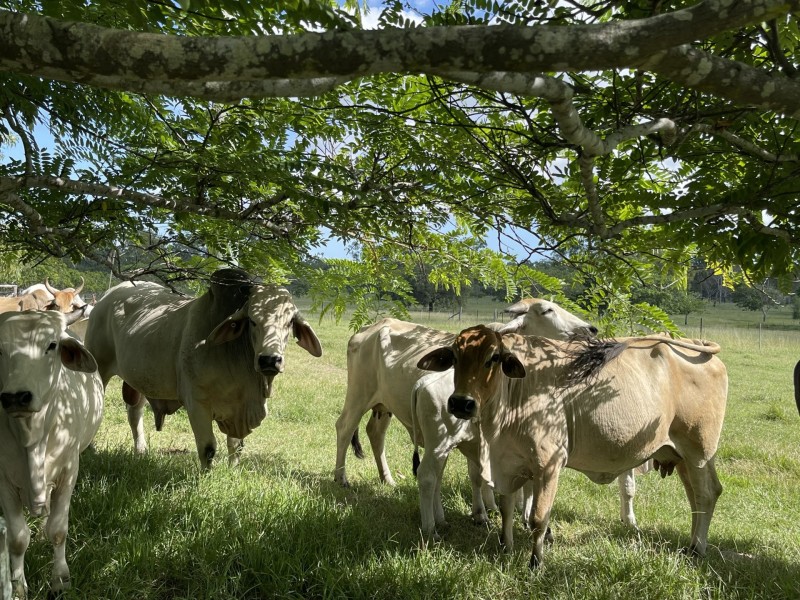 404 Turkey Beach Road, Turkey Beach QLD 4678