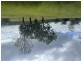 255 Red Hill Road, Bororen QLD 4678