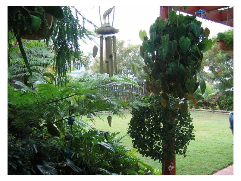 6 WATTORA CLOSE, Boyne Island QLD 4680