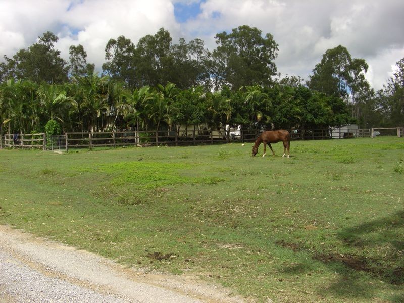 133 Cawthrays Road, Miriam Vale QLD 4677