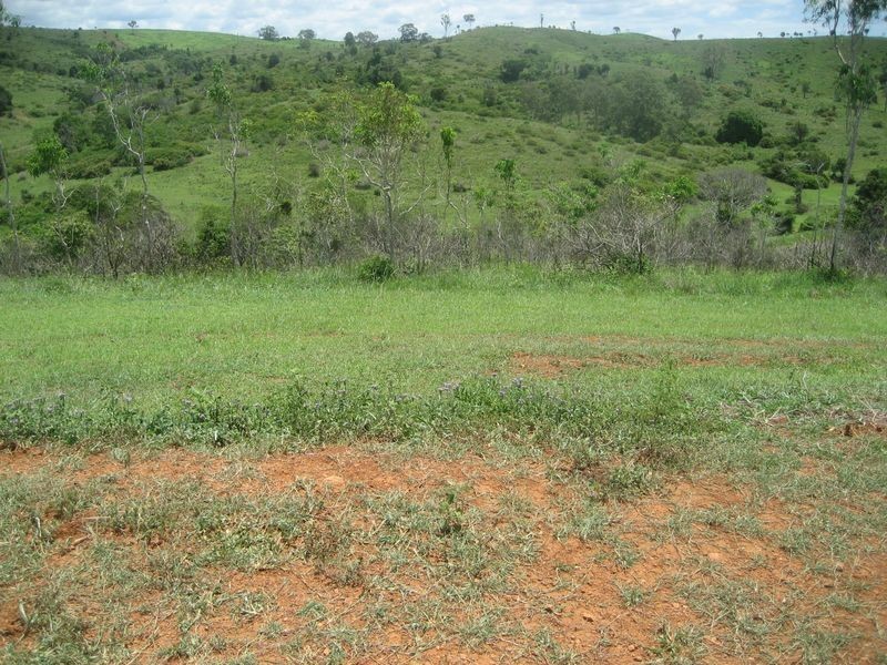 1685 Mt Larcom – Bracewell Road, Bracewell QLD 4695