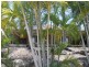 59 Latrobe Street, Tannum Sands QLD 4680