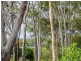 6 Alpine Avenue, Boyne Island QLD 4680