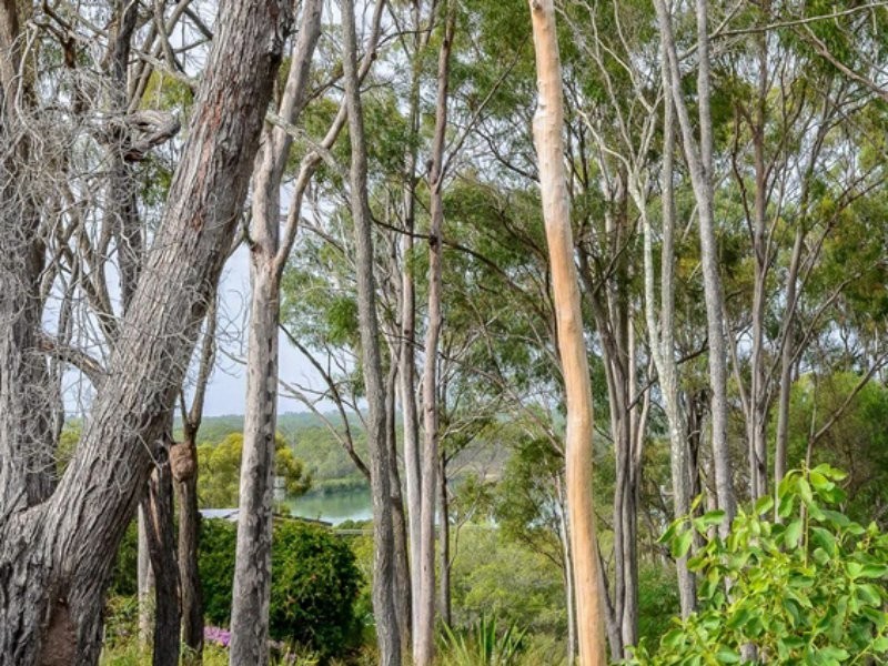 6 Alpine Avenue, Boyne Island QLD 4680