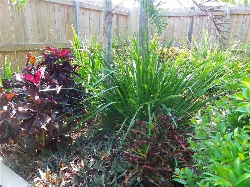 49B Livingstone Street, Bowen QLD 4805