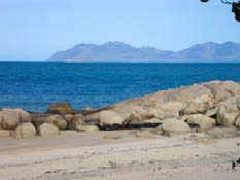 Rose Bay Resort, Bowen QLD 4805