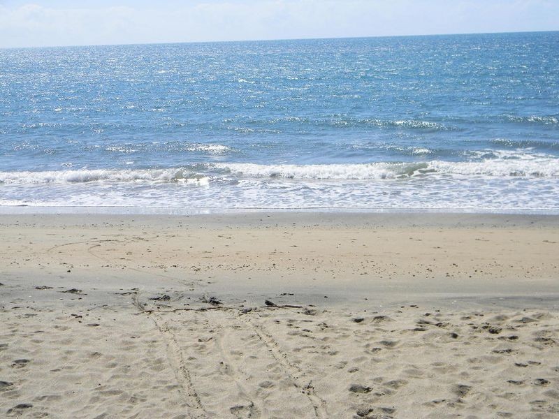 29 Gloucester Street, Bowen QLD 4805