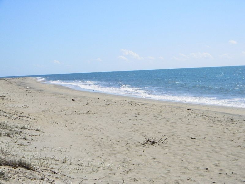 29 Gloucester Street, Bowen QLD 4805