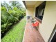 5/4 Dalrymple Street, Bowen QLD 4805