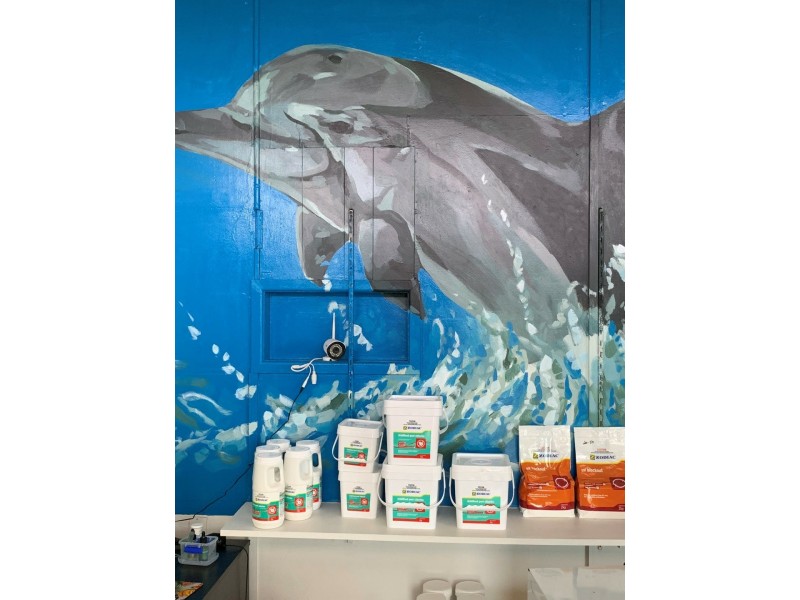 119 Herbert Street – Bowen Pools & Pumps, Bowen QLD 4805