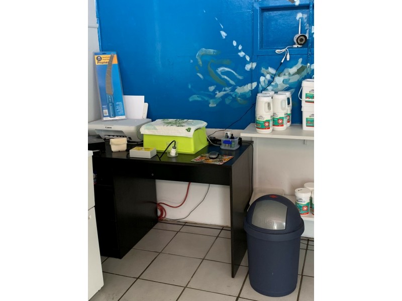 119 Herbert Street – Bowen Pools & Pumps, Bowen QLD 4805