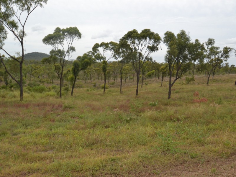 Lot 31 Africandar Road, Bowen QLD 4805