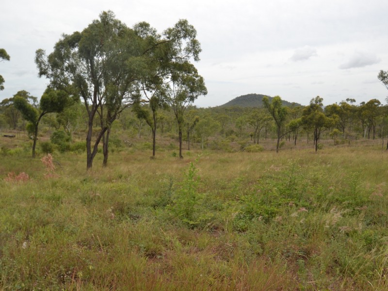 Lot 31 Africandar Road, Bowen QLD 4805