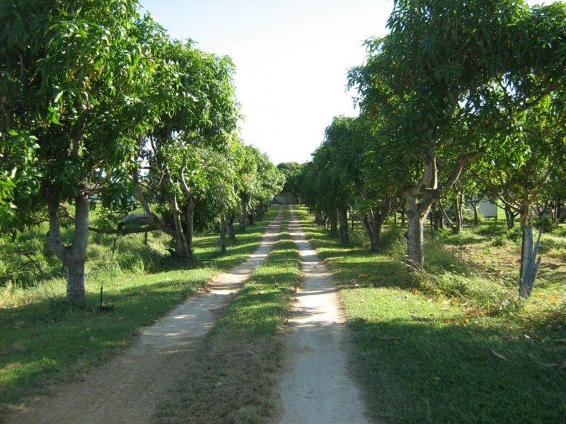 40 Inverdon Road, Bowen QLD 4805