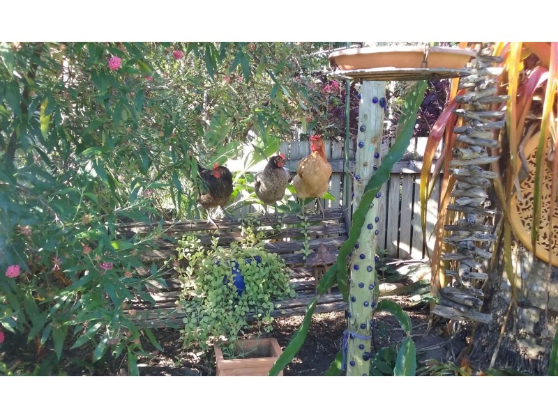 4 Livingstone Street, Bowen QLD 4805