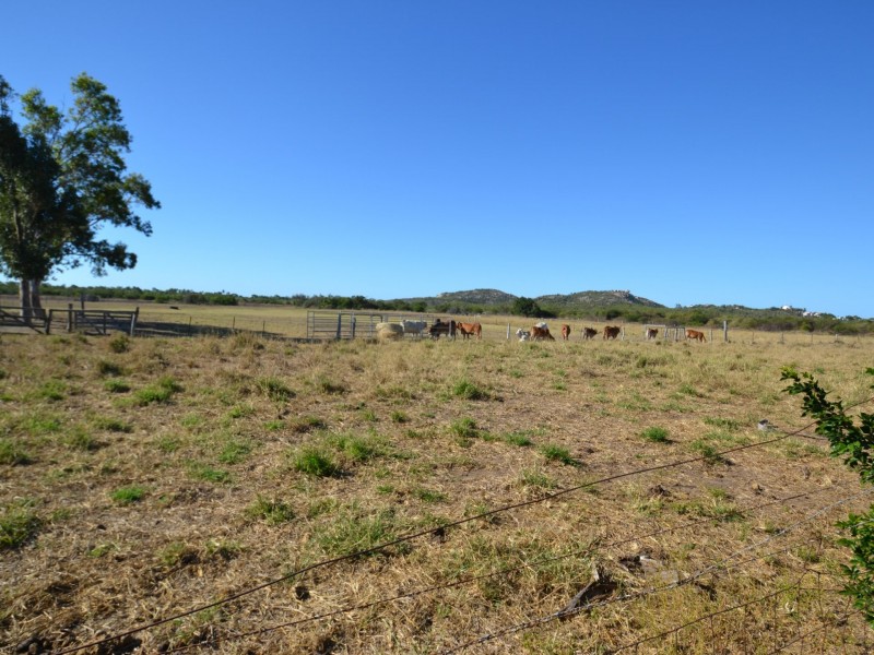 67 Avoca Rd, Bowen QLD 4805