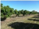 8 Inverdon Road, Bowen QLD 4805