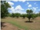 334 Normanby Road, Bogie QLD 4805