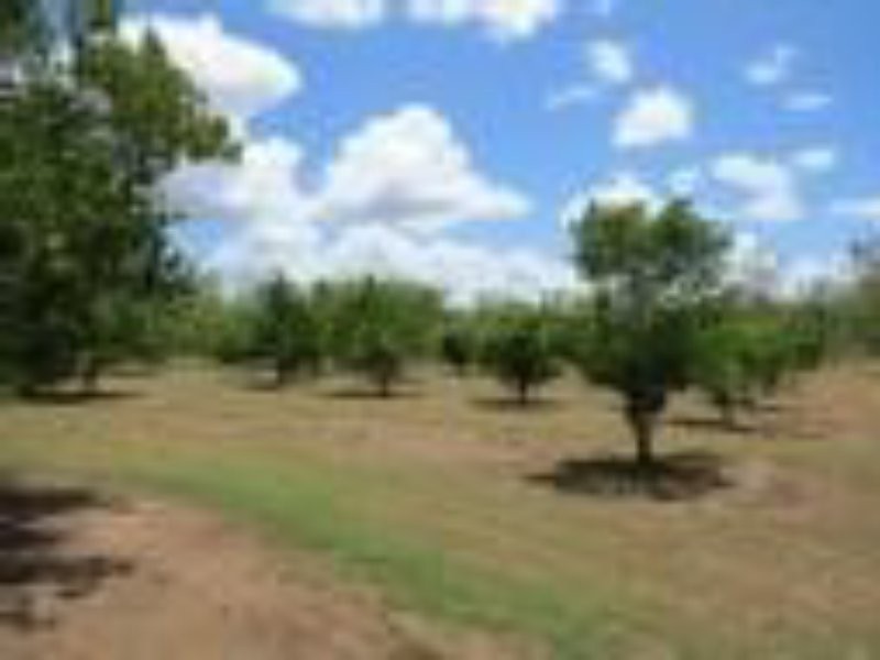 334 Normanby Road, Bogie QLD 4805