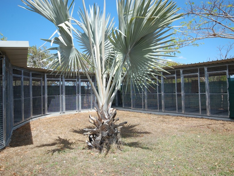 9 Eyles Rd, Bowen QLD 4805