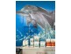 119 Herbert st, Bowen QLD 4805