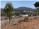 10 Harbour View Tce, Bowen QLD 4805