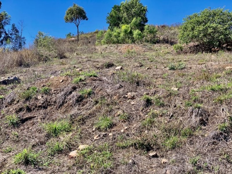 24 Seacove Crescent, Bowen QLD 4805