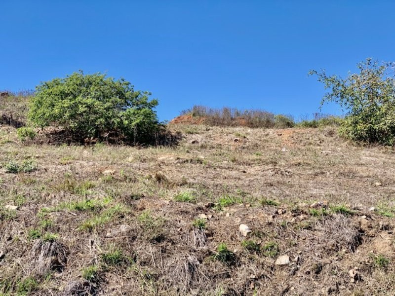 24 Seacove Crescent, Bowen QLD 4805